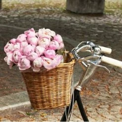 Grand Panier Sur Guidon De Vélo En Rotin Darcy L Basil 12 Grand Panier Sur Guidon De Vélo En Rotin Darcy L Basil -Remorques vélo Soldes grand panier sur guidon de velo en rotin darcy l basil full 5