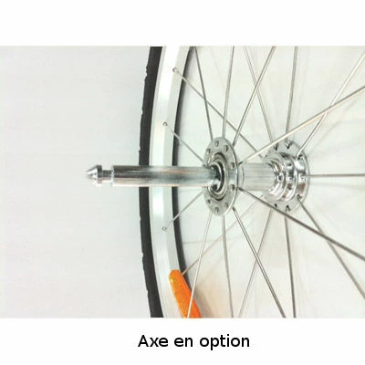 Maxxus Roue 20 Pouces Pour Remorque Vélo 5 Maxxus Roue 20 Pouces Pour Remorque Vélo – Image 3