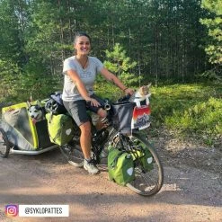 Sac De Vélo Pour Chien Doggy - KLICKfix -Remorques vélo Soldes sac transport chat velo